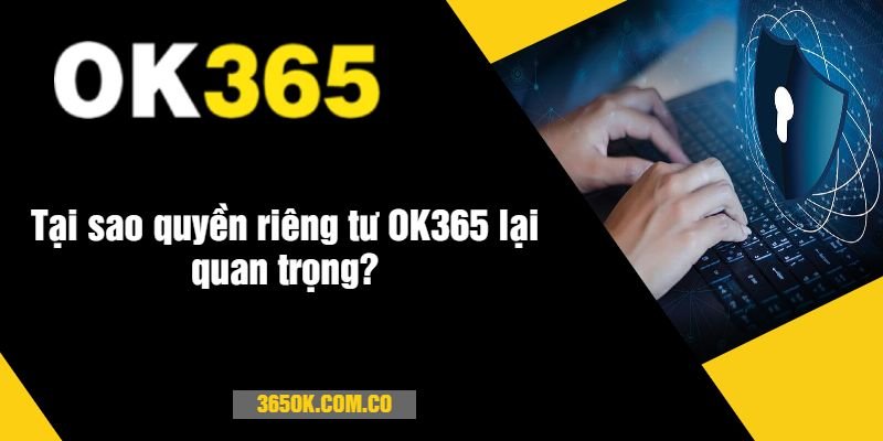Tại sao quyền riêng tư OK365 lại quan trọng?