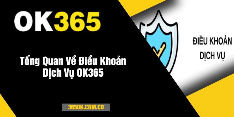 Tổng Quan Về Điều Khoản Dịch Vụ OK365